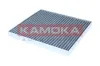 Filter, Innenraumluft KAMOKA F523901 Bild Filter, Innenraumluft KAMOKA F523901