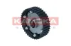 Nockenwellenversteller KAMOKA RV005 Bild Nockenwellenversteller KAMOKA RV005