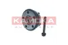 Nockenwellenversteller Einlassseite KAMOKA RV008 Bild Nockenwellenversteller Einlassseite KAMOKA RV008