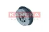 Nockenwellenversteller Einlassseite KAMOKA RV017 Bild Nockenwellenversteller Einlassseite KAMOKA RV017