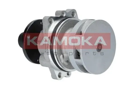 Wasserpumpe, Motorkühlung KAMOKA T0058 Bild Wasserpumpe, Motorkühlung KAMOKA T0058