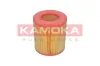 Luftfilter KAMOKA F236701 Bild Luftfilter KAMOKA F236701