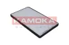 Filter, Innenraumluft KAMOKA F405501 Bild Filter, Innenraumluft KAMOKA F405501