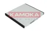 Filter, Innenraumluft KAMOKA F406101 Bild Filter, Innenraumluft KAMOKA F406101