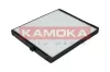 Filter, Innenraumluft KAMOKA F411001 Bild Filter, Innenraumluft KAMOKA F411001
