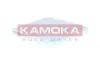 Filter, Innenraumluft KAMOKA F424701 Bild Filter, Innenraumluft KAMOKA F424701