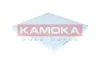 Filter, Innenraumluft KAMOKA F424901 Bild Filter, Innenraumluft KAMOKA F424901