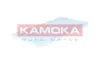 Filter, Innenraumluft KAMOKA F418501 Bild Filter, Innenraumluft KAMOKA F418501