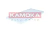 Filter, Innenraumluft KAMOKA F426001 Bild Filter, Innenraumluft KAMOKA F426001