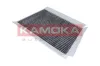Filter, Innenraumluft KAMOKA F502601 Bild Filter, Innenraumluft KAMOKA F502601