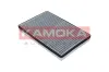 Filter, Innenraumluft KAMOKA F503101 Bild Filter, Innenraumluft KAMOKA F503101