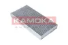 Filter, Innenraumluft KAMOKA F505201 Bild Filter, Innenraumluft KAMOKA F505201