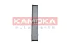 Filter, Innenraumluft KAMOKA F505901 Bild Filter, Innenraumluft KAMOKA F505901