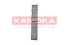 Filter, Innenraumluft KAMOKA F506301 Bild Filter, Innenraumluft KAMOKA F506301