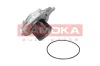 Wasserpumpe, Motorkühlung KAMOKA T0002 Bild Wasserpumpe, Motorkühlung KAMOKA T0002
