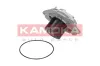 Wasserpumpe, Motorkühlung KAMOKA T0002 Bild Wasserpumpe, Motorkühlung KAMOKA T0002