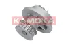 Wasserpumpe, Motorkühlung KAMOKA T0070 Bild Wasserpumpe, Motorkühlung KAMOKA T0070