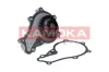 Wasserpumpe, Motorkühlung KAMOKA T0087 Bild Wasserpumpe, Motorkühlung KAMOKA T0087