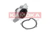 Wasserpumpe, Motorkühlung KAMOKA T0092