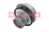 Wasserpumpe, Motorkühlung KAMOKA T0136 Bild Wasserpumpe, Motorkühlung KAMOKA T0136