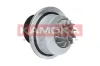 Wasserpumpe, Motorkühlung KAMOKA T0108 Bild Wasserpumpe, Motorkühlung KAMOKA T0108