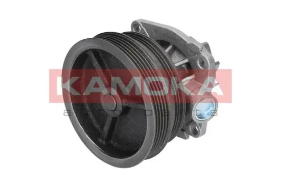 Wasserpumpe, Motorkühlung KAMOKA T0112 Bild Wasserpumpe, Motorkühlung KAMOKA T0112
