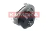 Wasserpumpe, Motorkühlung KAMOKA T0113 Bild Wasserpumpe, Motorkühlung KAMOKA T0113