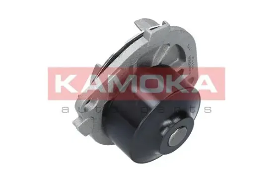 Wasserpumpe, Motorkühlung KAMOKA T0113 Bild Wasserpumpe, Motorkühlung KAMOKA T0113