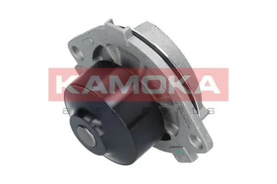 Wasserpumpe, Motorkühlung KAMOKA T0113 Bild Wasserpumpe, Motorkühlung KAMOKA T0113