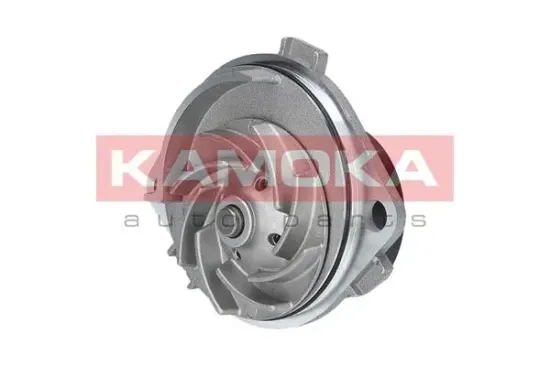 Wasserpumpe, Motorkühlung KAMOKA T0113 Bild Wasserpumpe, Motorkühlung KAMOKA T0113