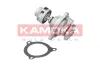Wasserpumpe, Motorkühlung KAMOKA T0135 Bild Wasserpumpe, Motorkühlung KAMOKA T0135