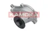 Wasserpumpe, Motorkühlung KAMOKA T0078 Bild Wasserpumpe, Motorkühlung KAMOKA T0078