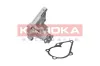Wasserpumpe, Motorkühlung KAMOKA T0134 Bild Wasserpumpe, Motorkühlung KAMOKA T0134