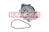 Wasserpumpe, Motorkühlung KAMOKA T0176 Bild Wasserpumpe, Motorkühlung KAMOKA T0176