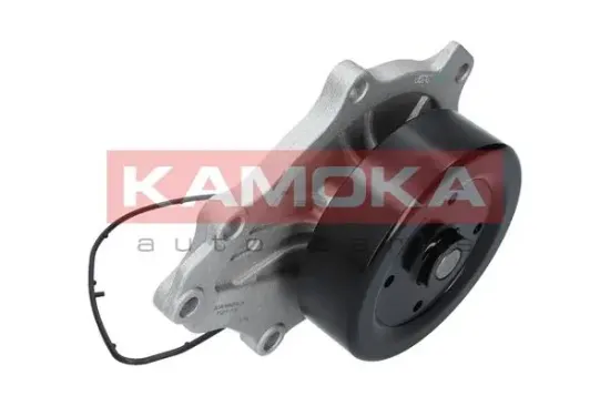 Wasserpumpe, Motorkühlung KAMOKA T0176 Bild Wasserpumpe, Motorkühlung KAMOKA T0176