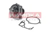 Wasserpumpe, Motorkühlung KAMOKA T0179 Bild Wasserpumpe, Motorkühlung KAMOKA T0179