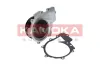 Wasserpumpe, Motorkühlung KAMOKA T0203 Bild Wasserpumpe, Motorkühlung KAMOKA T0203