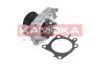 Wasserpumpe, Motorkühlung KAMOKA T0224 Bild Wasserpumpe, Motorkühlung KAMOKA T0224