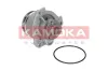 Wasserpumpe, Motorkühlung KAMOKA T0234