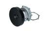 Wasserpumpe, Motorkühlung KAMOKA T0247