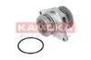 Wasserpumpe, Motorkühlung KAMOKA T0249 Bild Wasserpumpe, Motorkühlung KAMOKA T0249