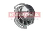 Wasserpumpe, Motorkühlung KAMOKA T0254 Bild Wasserpumpe, Motorkühlung KAMOKA T0254