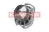 Wasserpumpe, Motorkühlung KAMOKA T0254 Bild Wasserpumpe, Motorkühlung KAMOKA T0254