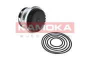 Wasserpumpe, Motorkühlung KAMOKA T0273