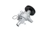 Wasserpumpe, Motorkühlung KAMOKA T0276 Bild Wasserpumpe, Motorkühlung KAMOKA T0276