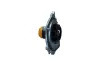 Wasserpumpe, Motorkühlung KAMOKA T0289 Bild Wasserpumpe, Motorkühlung KAMOKA T0289