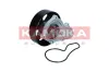 Wasserpumpe, Motorkühlung KAMOKA T0304 Bild Wasserpumpe, Motorkühlung KAMOKA T0304
