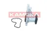 Wasserpumpe, Motorkühlung KAMOKA T0305 Bild Wasserpumpe, Motorkühlung KAMOKA T0305