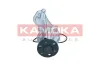 Wasserpumpe, Motorkühlung KAMOKA T0305 Bild Wasserpumpe, Motorkühlung KAMOKA T0305