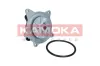 Wasserpumpe, Motorkühlung KAMOKA T0318